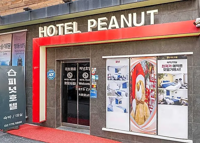 Hostel Peanut Seoul