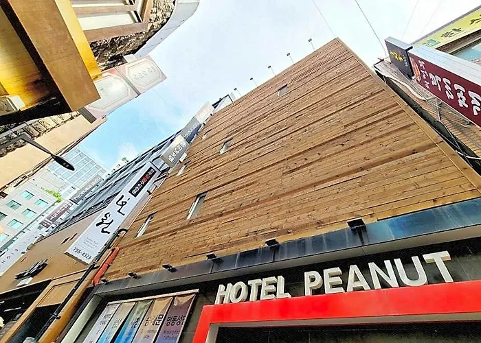 Hostel Peanut *