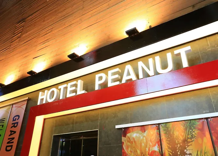 Peanut Hostel *