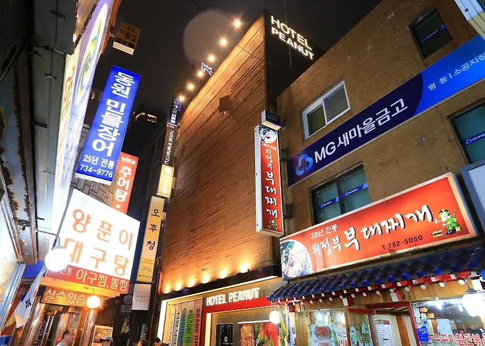 Peanut Hostel